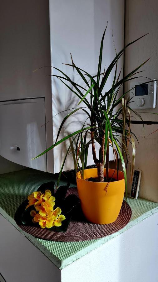 Apartement *Harzblick* Nordhausen Kültér fotó